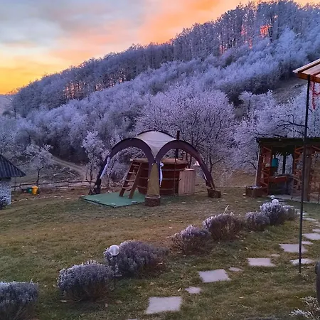 Poiana Stelelor * Văleni